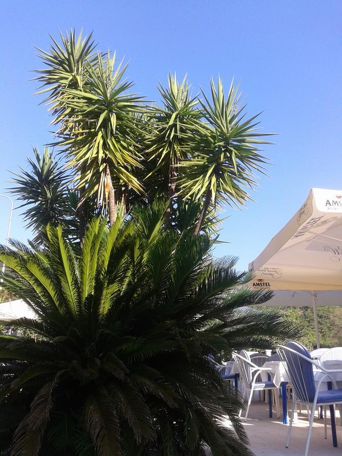 Hotel Jovana Budva Eksteriør bilde
